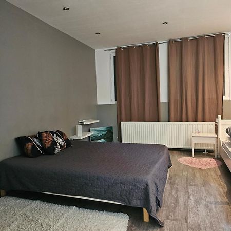 Appartement De Caractere Irigny Extérieur photo