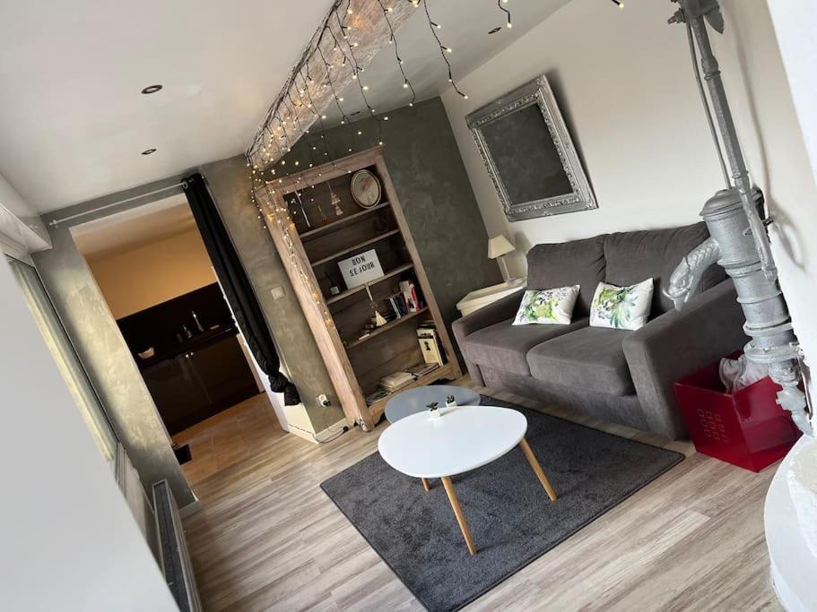 Appartement De Caractere Irigny Extérieur photo