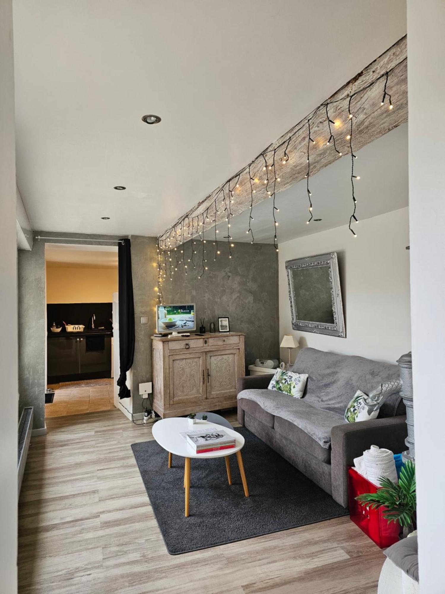 Appartement De Caractere Irigny Extérieur photo