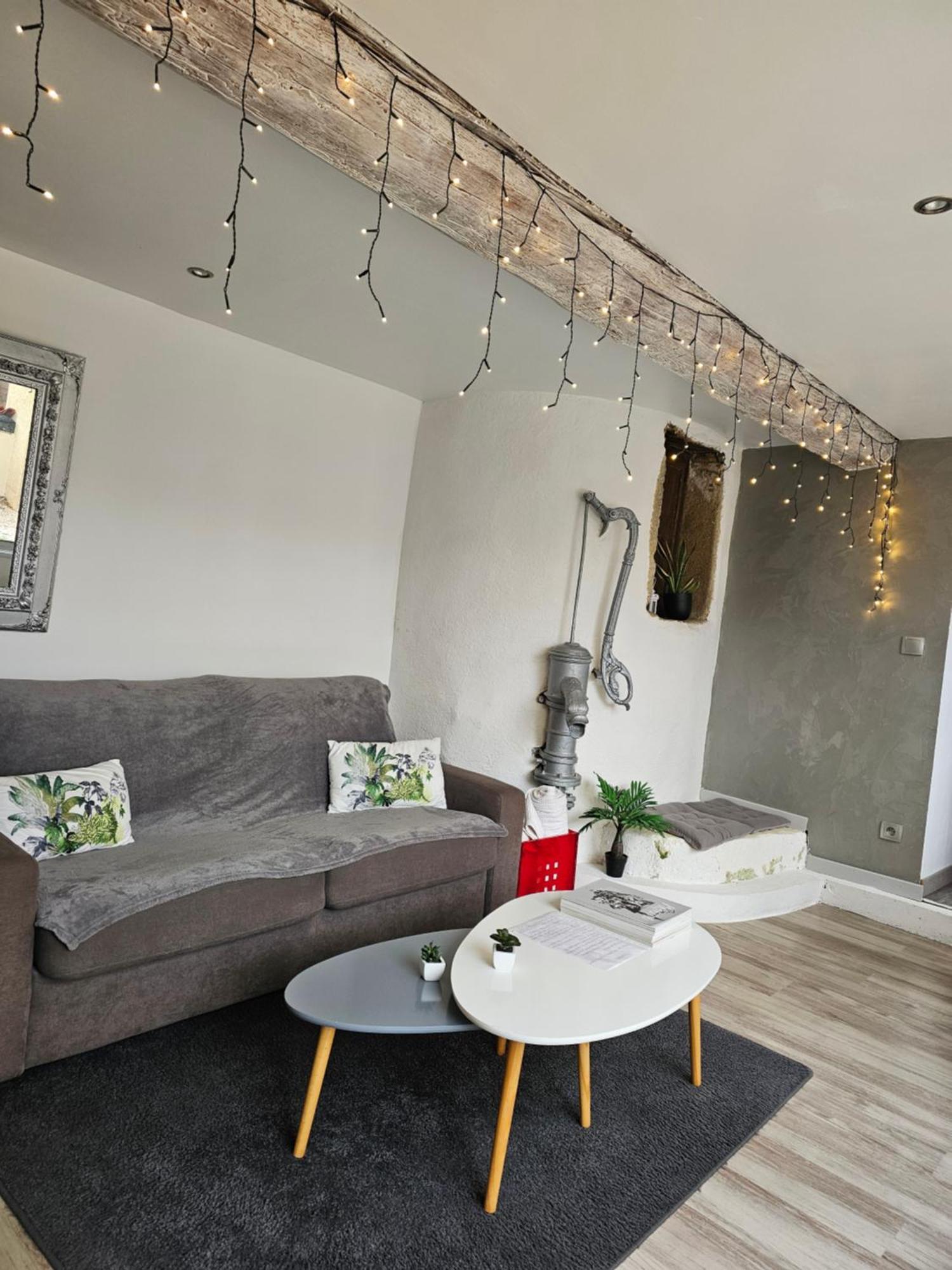 Appartement De Caractere Irigny Extérieur photo
