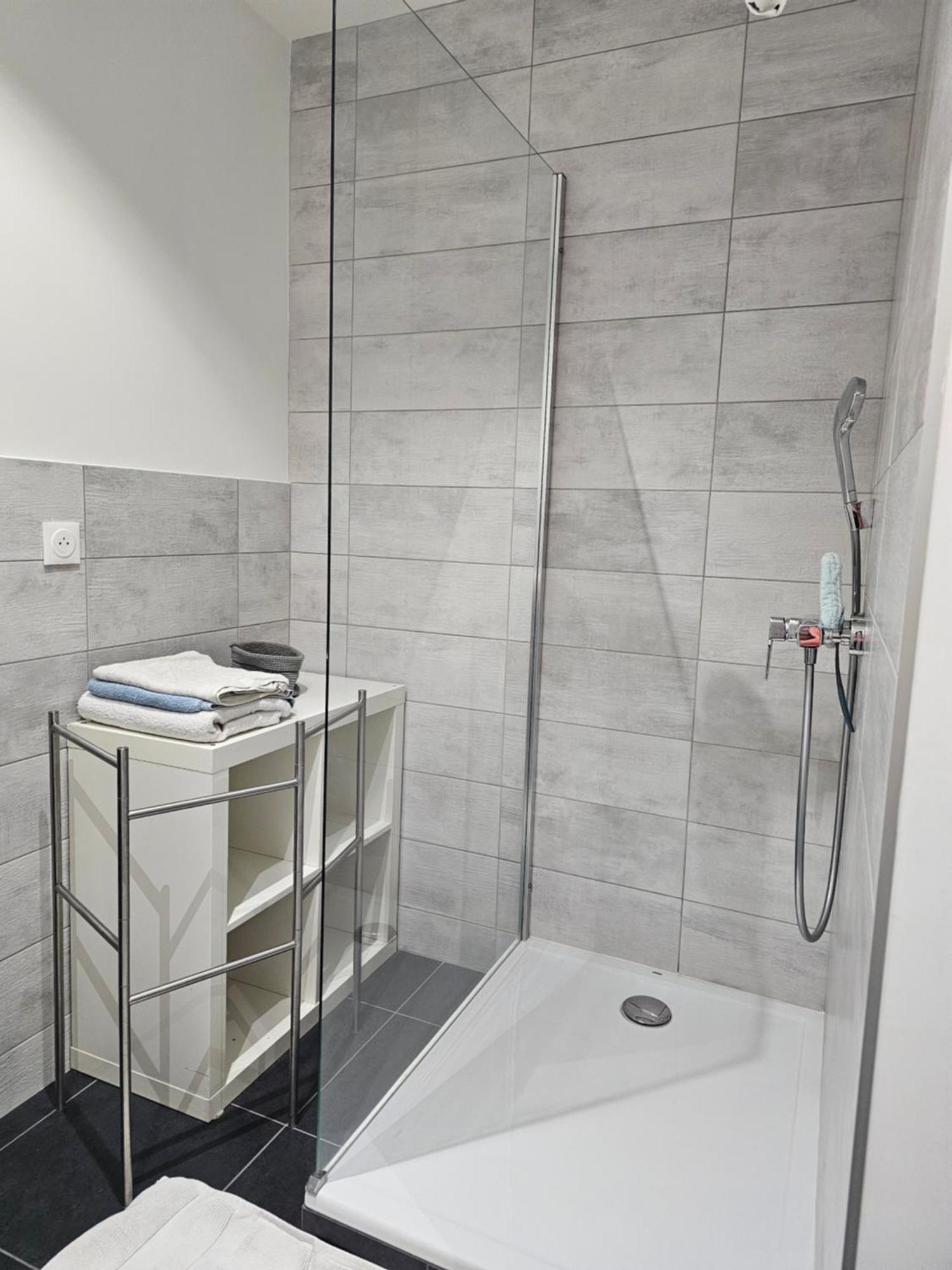Appartement De Caractere Irigny Extérieur photo